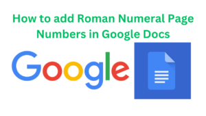 how to add roman numeral page numbers in google docs