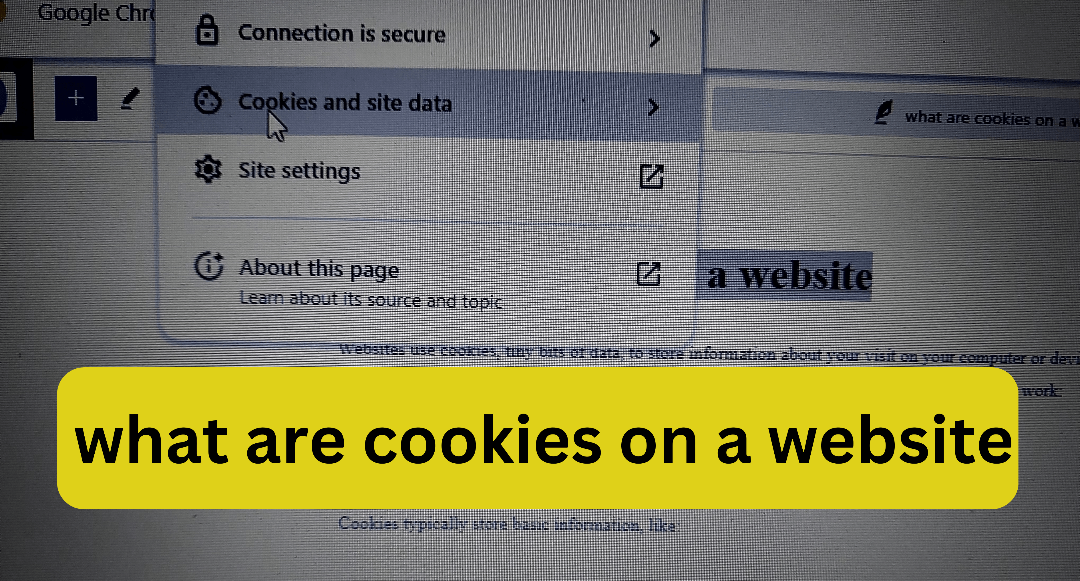 what are cookies on a website